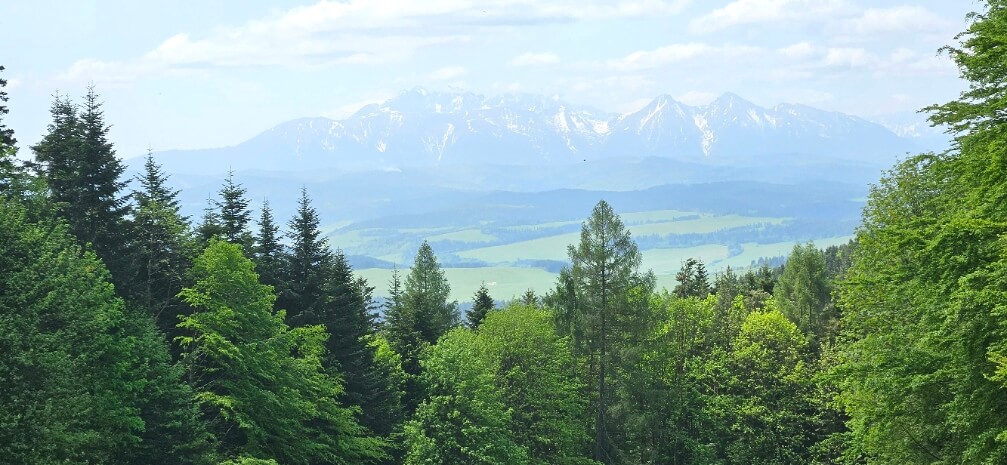 Výhľady z Przelecz Szopky na Belianske Tatry